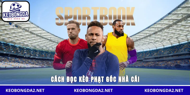 Cách đọc kèo phạt góc nhà cái