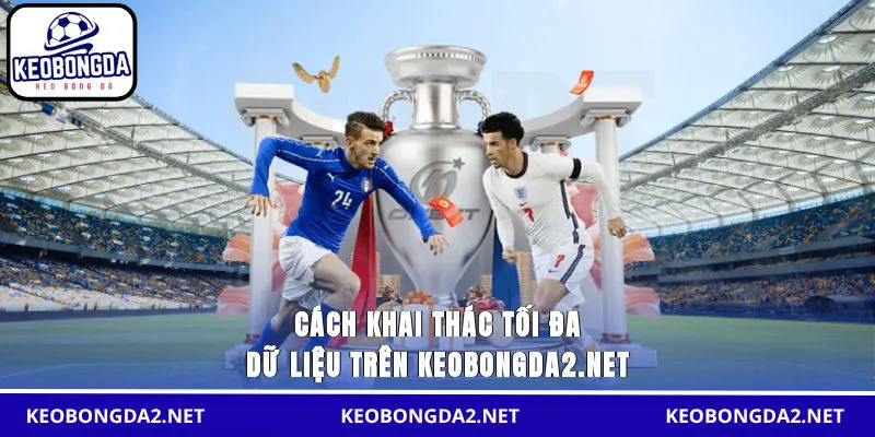 Cách khai thác tối đa dữ liệu trên servibot.io