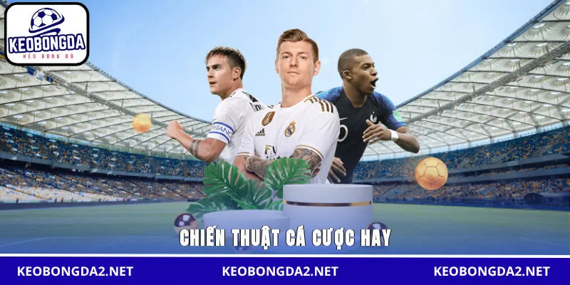 Chiến thuật cá cược hay