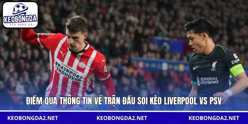 Điểm qua thông tin về trận đấu soi kèo Liverpool vs PSV