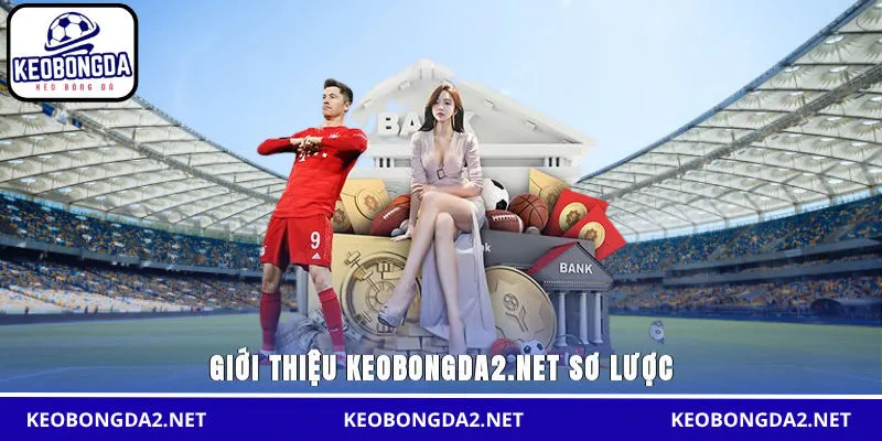 Giới thiệu servibot.io sơ lược