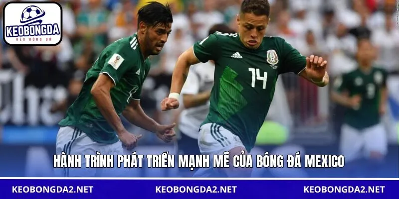 Hành trình phát triển mạnh mẽ của bóng đá Mexico