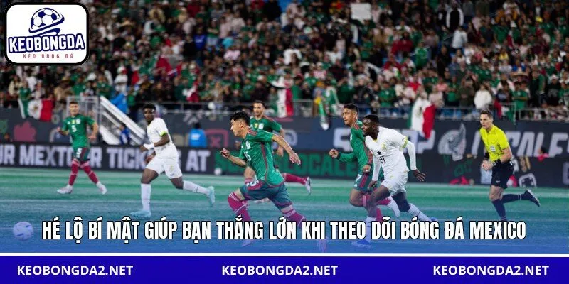 Hé lộ bí mật giúp bạn thắng lớn khi theo dõi bóng đá Mexico