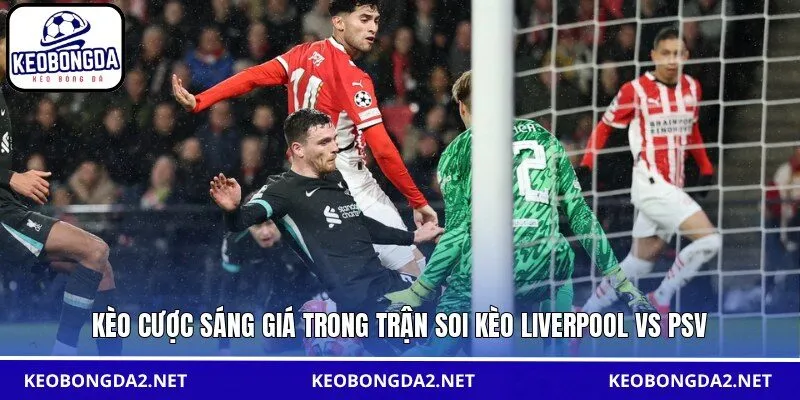 Kèo cược sáng giá trong trận soi kèo Liverpool vs PSV