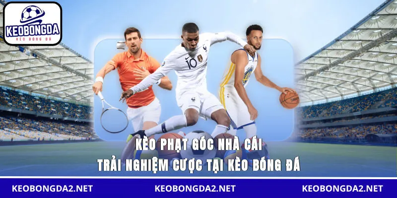 kèo phạt góc nhà cái