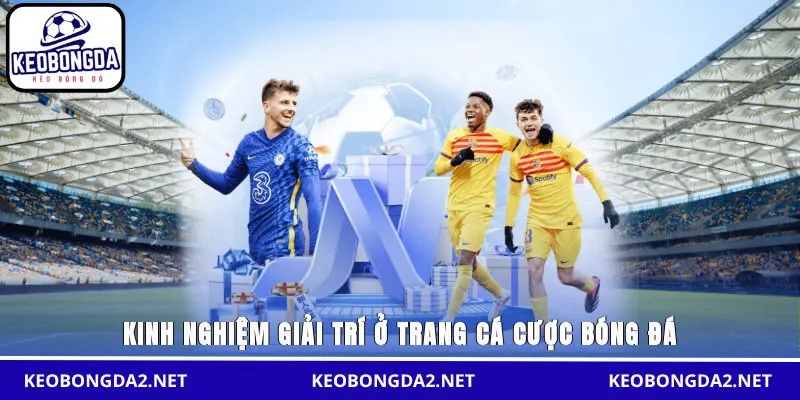 Kinh nghiệm giải trí ở trang cá cược bóng đá