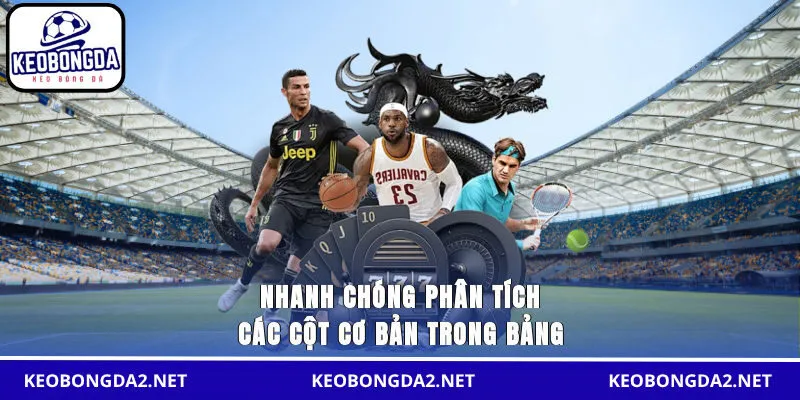 Nhanh chóng phân tích các cột cơ bản trong bảng