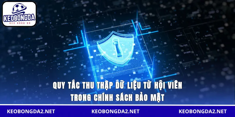 Quy tắc thu thập dữ liệu từ hội viên trong chính sách bảo mật