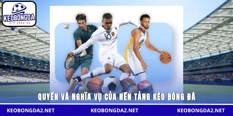 Quyền và nghĩa vụ của nền tảng Kèo Bóng Đá