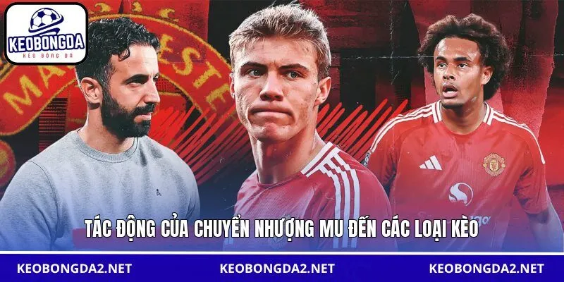 Tác động của chuyển nhượng MU đến các loại kèo