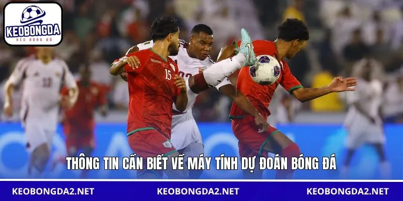 Thông tin cần biết về máy tính dự đoán bóng đá