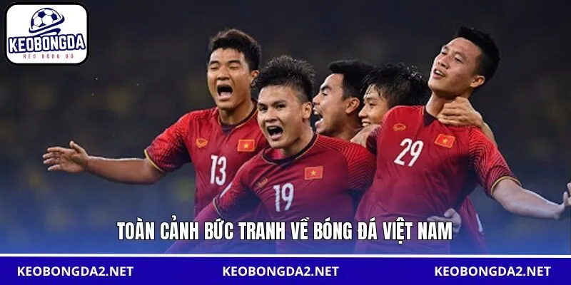 Toàn cảnh bức tranh về bóng đá Việt Nam