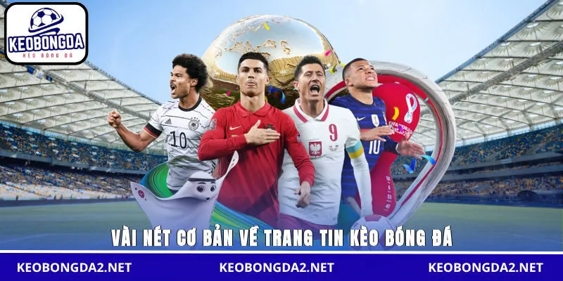 Vài nét cơ bản về trang tin Kèo Bóng Đá